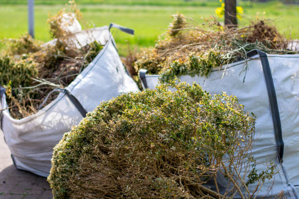 Best Property Management Cleanouts  in Ampere North, NJ